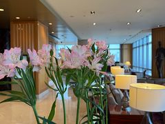 -上海明天广场JW万豪酒店