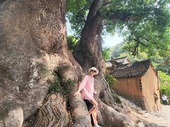 -杨家堂村