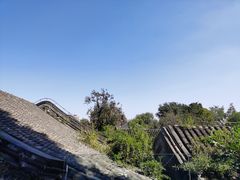 -自如ZSPACE四合院艺术餐厅