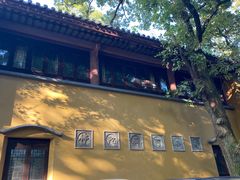 -灵谷景区