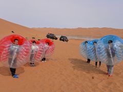 -内蒙古沙漠飞狐生态旅游开发有限公司