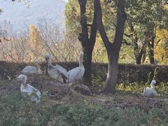 -无锡动物园·太湖欢乐园