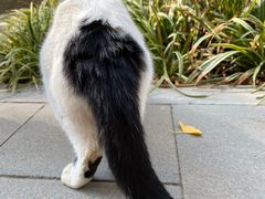 -镇江市南山风景名胜区竹林景区