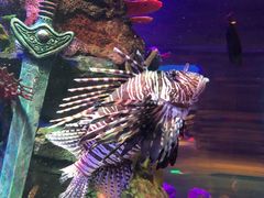 -沈阳海洋探索中心