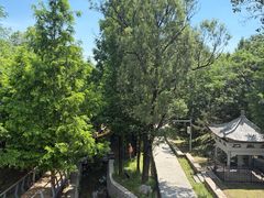 -白水寺森林公园