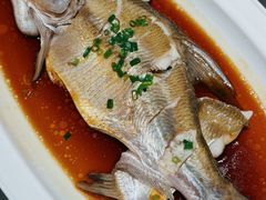 清蒸武昌鱼-曾宴·楚菜(湖北省博物馆店)