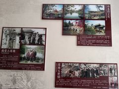 -莲池书院博物馆
