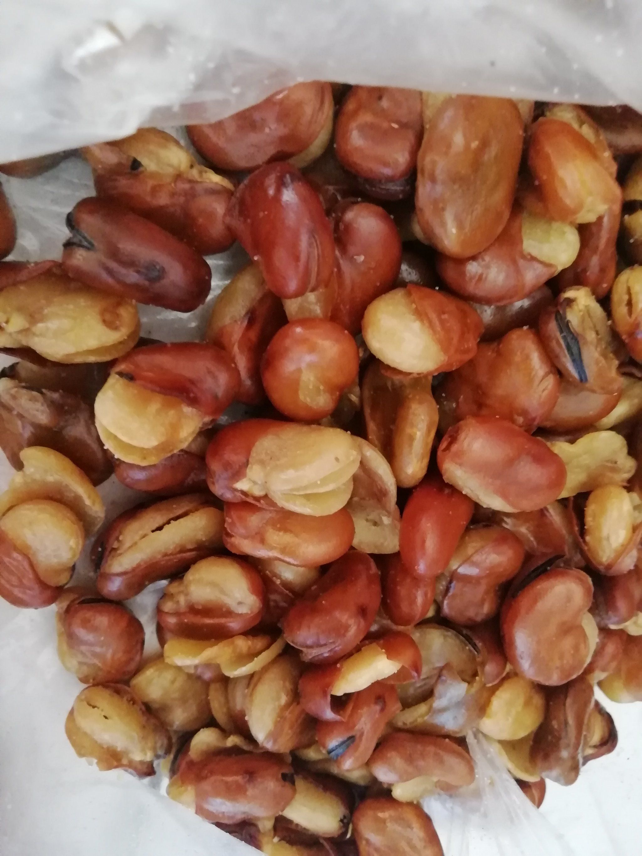 0元玩转这座城老虎豆好吃便宜,配上啤酒