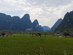 -明仕田园