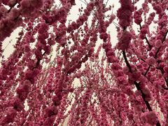 -泉城广场