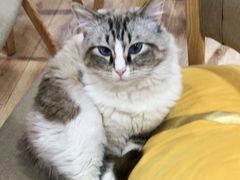 -白兔子密室(长寿路店)