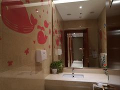 -郑州新郑国际机场T2航站楼-贵宾厅B区