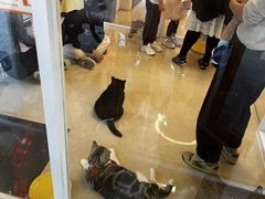 -中粮·祥云小镇