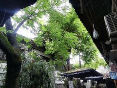 -磁器口古镇