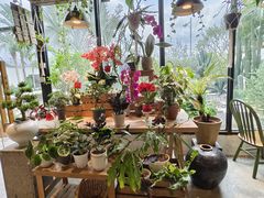 -自由生长植物工作室(深港花卉中心店)