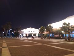 -海口站