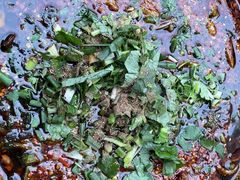 -乐山第一家临江鳝丝(茶坊路店)