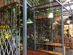 -Rainforest