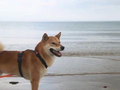 -那香海钻石沙滩浴场