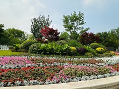 -新江湾城公园