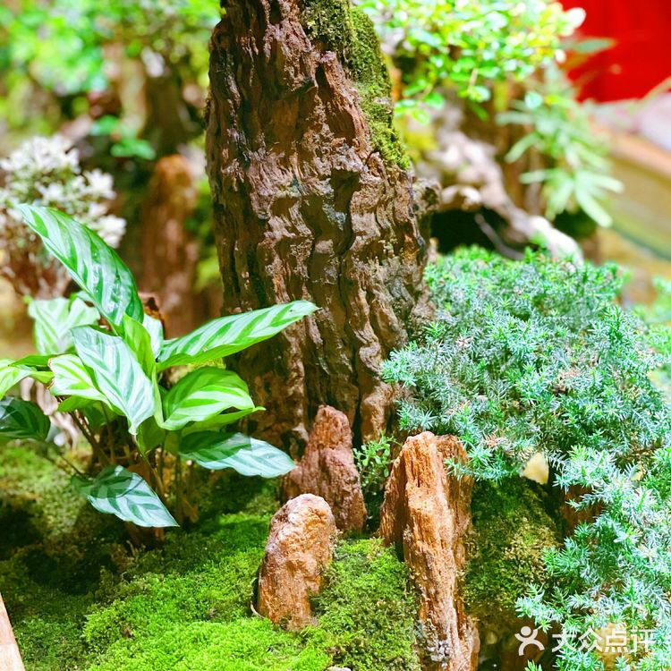 外滩的风景 必须包括这一碗蟹黄金