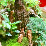 外滩的风景  必须包括这一碗蟹黄金