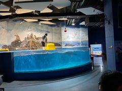 -梦幻海洋王国(吾悦广场张家港店)