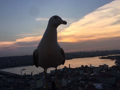 -加拉达石塔