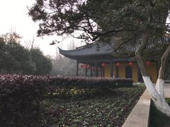 -常熟方塔园