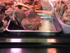 -洪记白水羊头(天坛店)