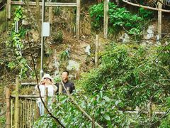 -水墨汀溪风景区