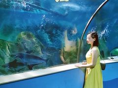 -苏州海洋馆