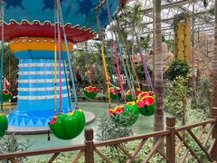 -南宫五洲植物乐园