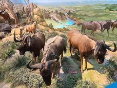 -陕西自然博物馆