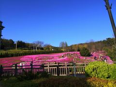 -棒棰岛宾馆景区