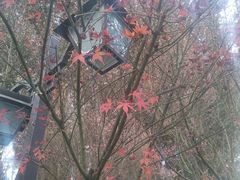 -乌山风景区