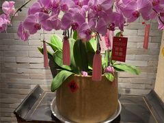 -八分饱·西津会(西津渡店)