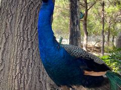 -燕塞湖鸟语林景区