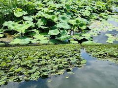 -怡得观滇餐厅·地道昆明菜·1996(海埂大坝店)