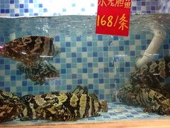 -船奇蒸汽海鲜·闽菜(八市海鲜总店)