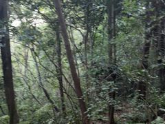 -九龙潭景区
