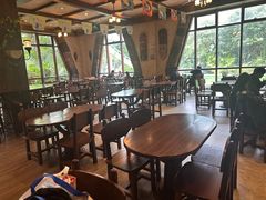 -雨林餐厅(长隆海洋王国店)