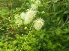 -三水森林公园