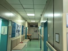 -北京观赏动物医院·24小时大型综合·猫专科·异宠专科