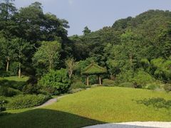 -云溪植物园