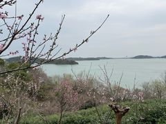 -天目湖涵田度假村
