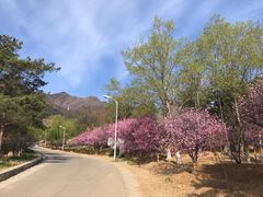 -北京鹫峰国家森林公园