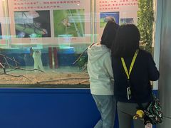 -上海昆虫博物馆