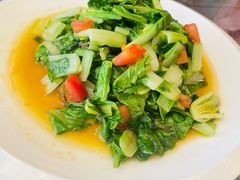 番茄青菜-新疆杭州疗养院·富春山庄