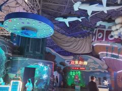 -烟台海昌鲸鲨海洋公园